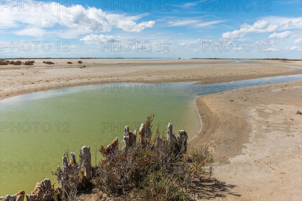 Typical landscape in a lagoon of the Rhone delta in the Camargue. Saintes Maries de la Mer