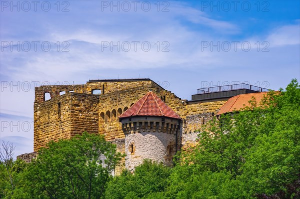 View of the ruins of Hohenrechberg Castle