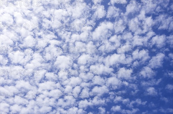 Background from a cloud formation of fleecy clouds in the summer sky