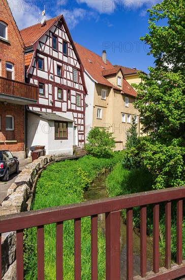 Backyard idyll of small houses