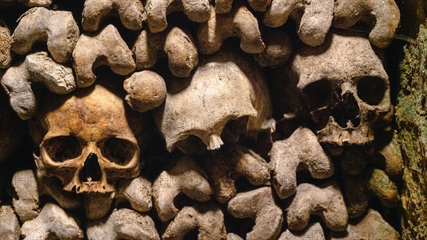 Human skulls and bones