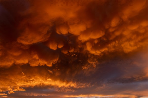 Inflamed sky with mammatus clouds at sunset. Saintes Maries de la Mer