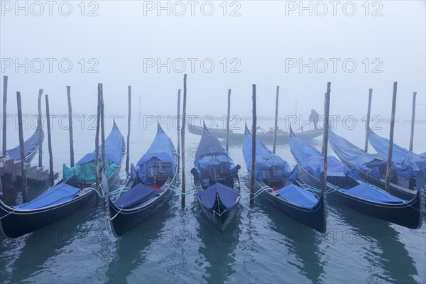 Moored gondolas at the Bacino di San Marco in the fog