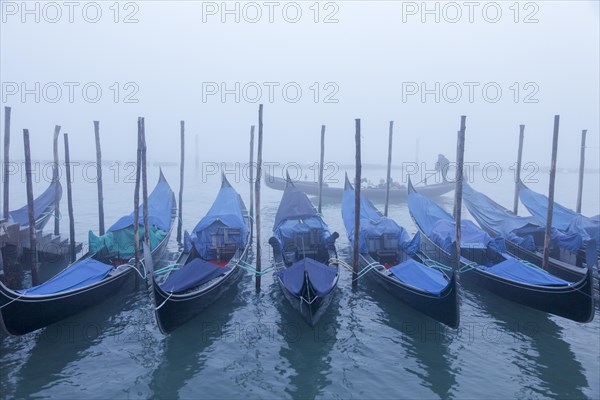 Moored gondolas at the Bacino di San Marco in the fog