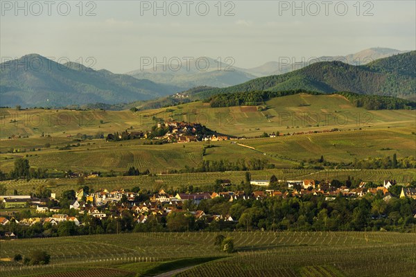 Medieval village in the vineyards