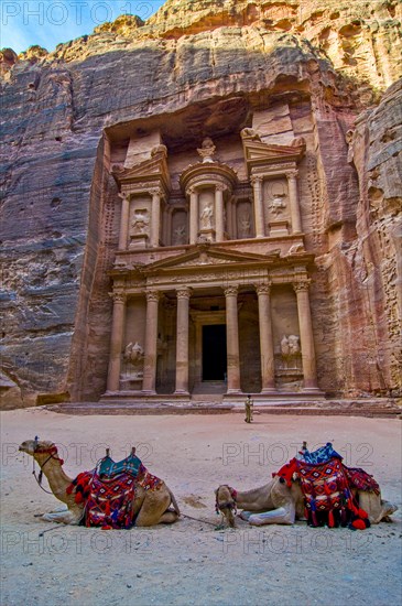 Camel in front of tomb in the rock