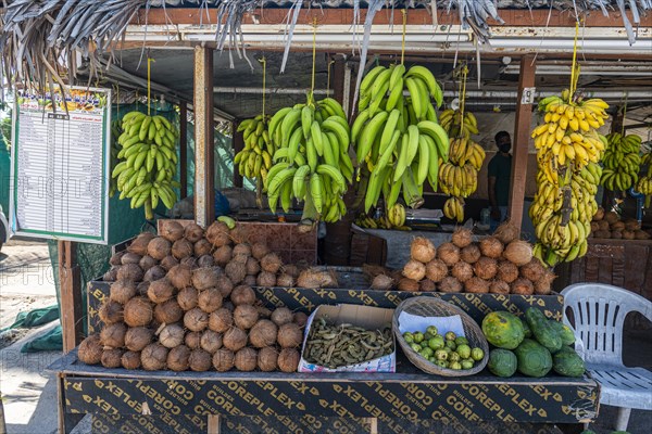 Fresh fruits in the Oasis of Salalah