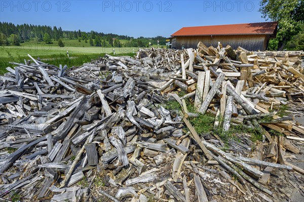 Split firewood