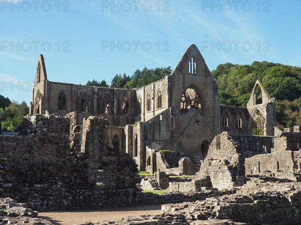 Tintern Abbey