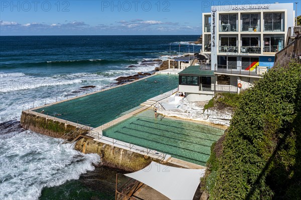 Bondi Icebergs Swimming CLUB