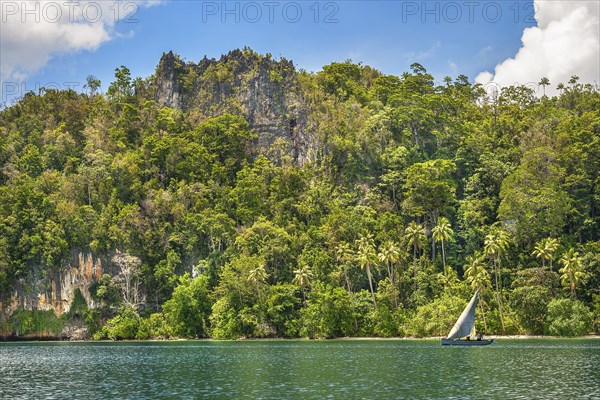 Limestone rock face