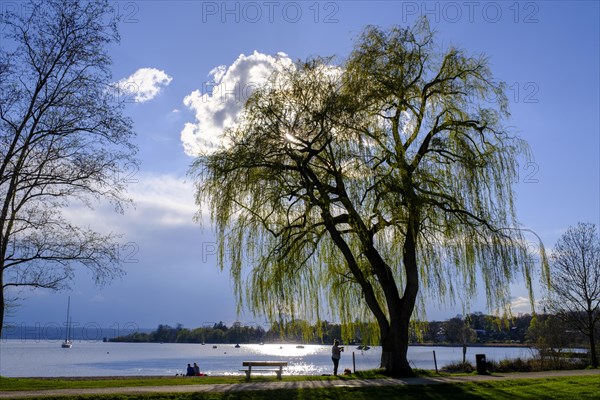 On the lakeside promenade