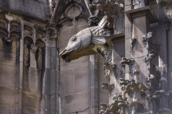 Gargoyle