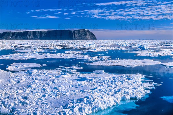 Drifting ice in the Arctic at a rocky coast in Svalbard
