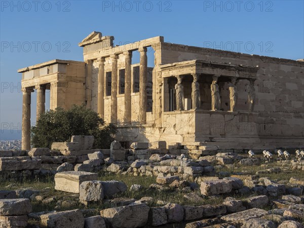 View of Erechtheion and porch of Caryatids on Acropolis in Athens