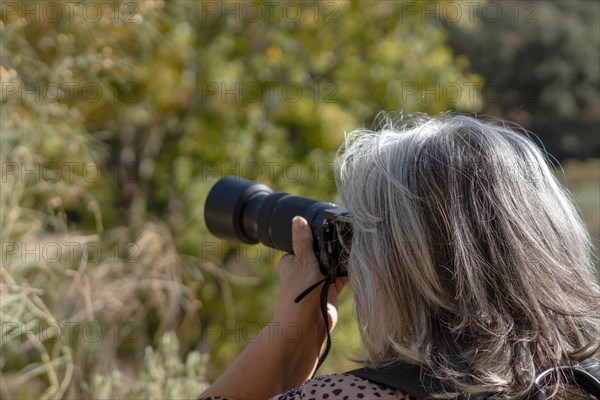 Woman photographer seen from the back taking pictures in nature