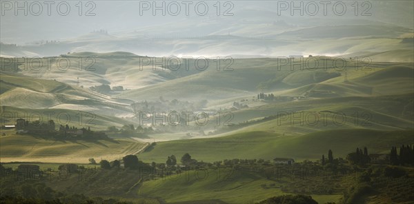 Tuscan landscape near Orciatico in the morning