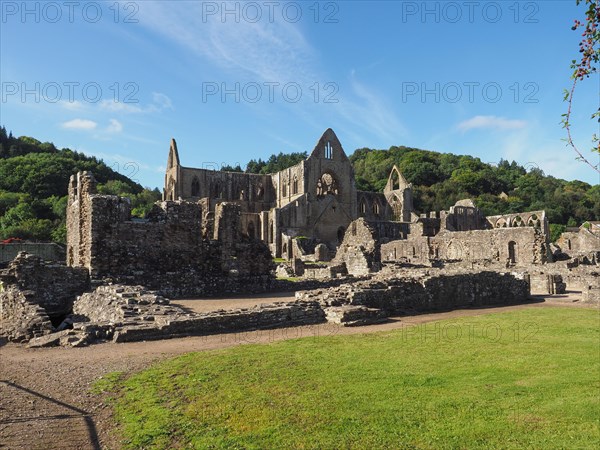 Tintern Abbey