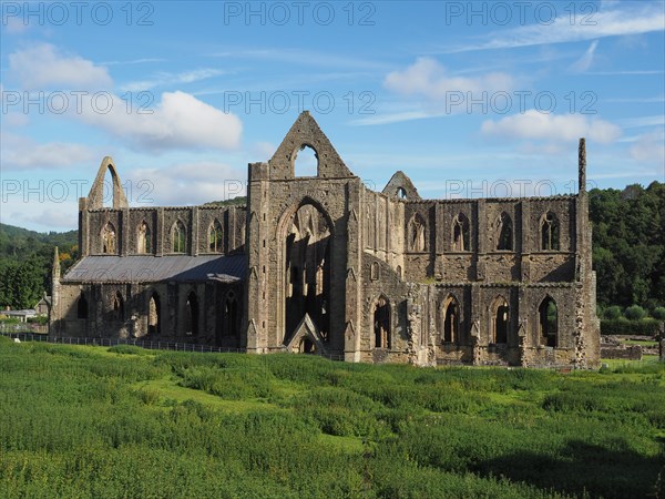 Tintern Abbey