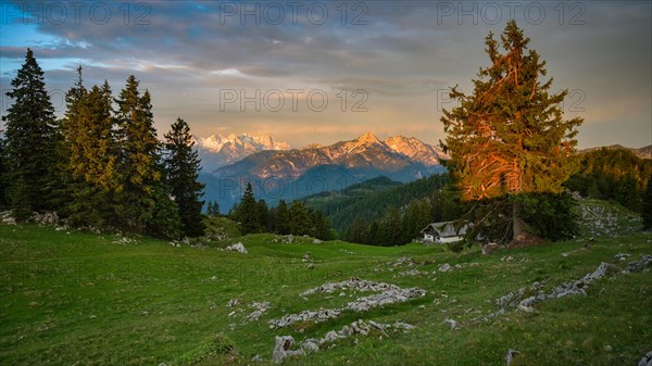 Mountain hut on the Kohler Alm with Sonntagshorn at sunrise