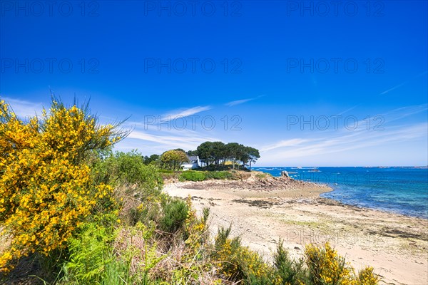 Beach at Le Gouffre