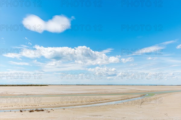 Typical landscape in a lagoon of the Rhone delta in the Camargue. Saintes Maries de la Mer