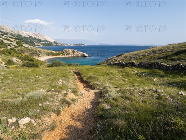 Rugged coastline