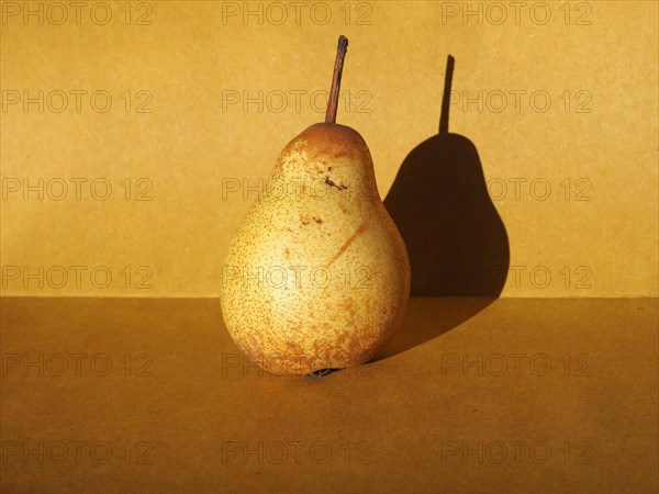 Pear fruit still life