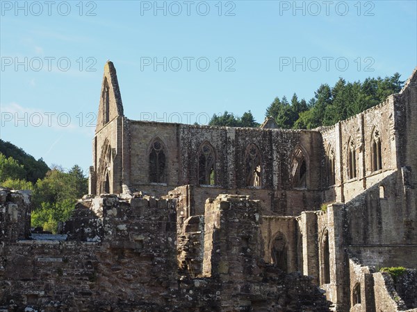 Tintern Abbey