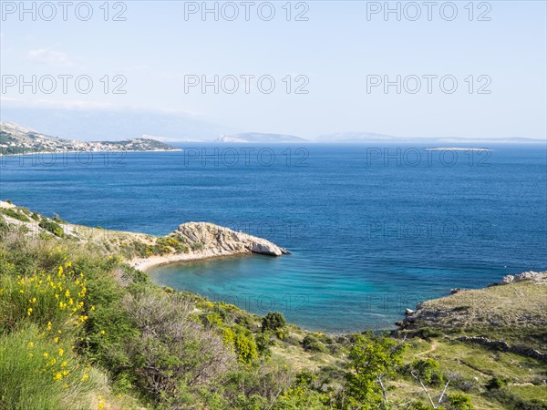 Rugged coastline