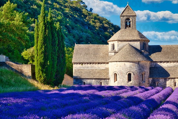 Cistercian Abbey Abbaye Notre-Dame de Senanque