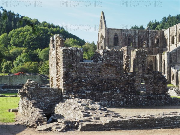 Tintern Abbey