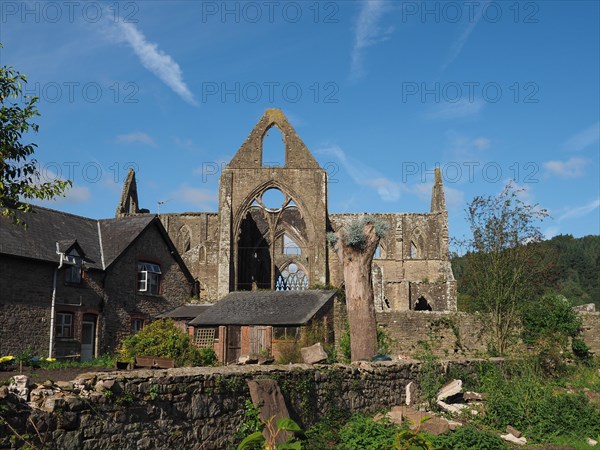 Tintern Abbey