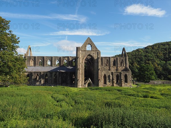 Tintern Abbey