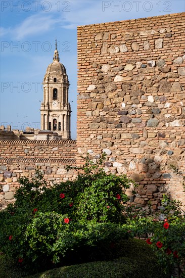 Santa Iglesia Catedral Basilica de la Encarnacion