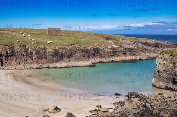 Sheep on the coast at the Butt of Lewis