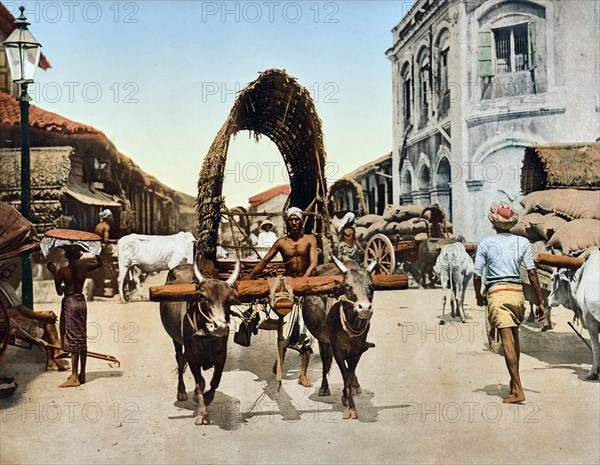 Street scene with an ox cart in Colombo