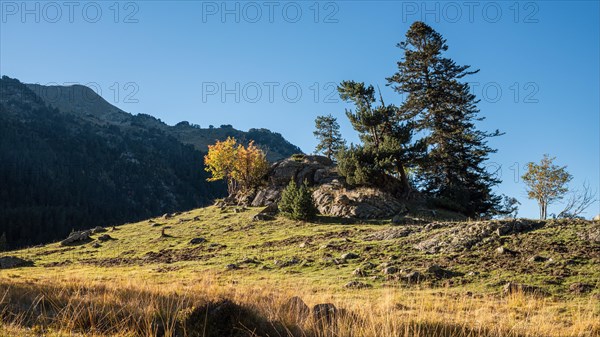 Praderas de Colomers