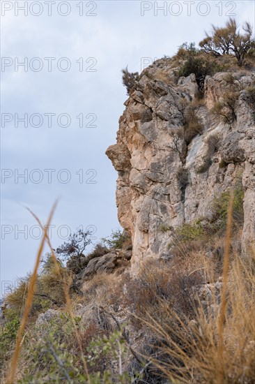 Cliffs of Maro-Cerro Gordo