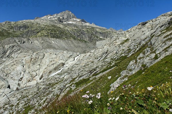 The ice-free bed of the Rhone glacier