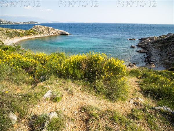 Rugged coastline