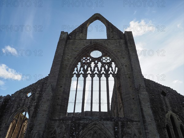 Tintern Abbey