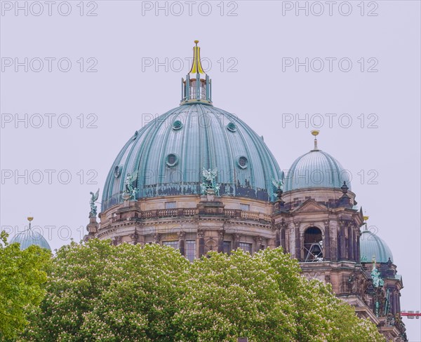 Berliner Dom in Berlin