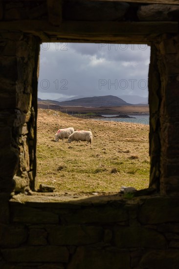 View through an old house ruin