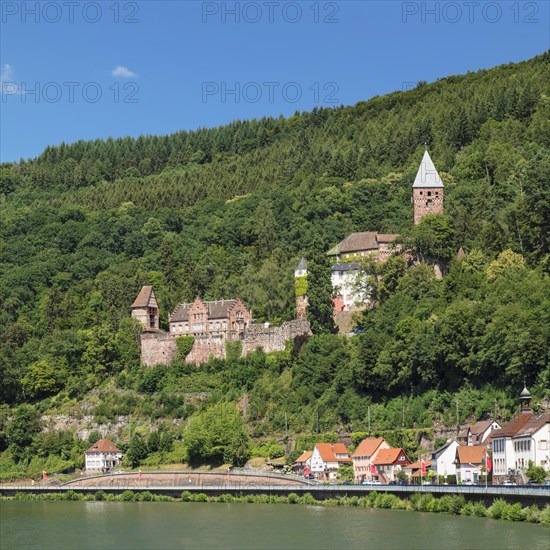 Zwingenberg Castle