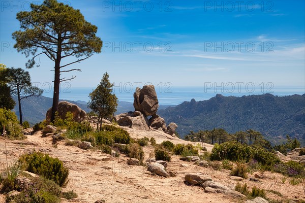 View of the sea from the Bavella massif