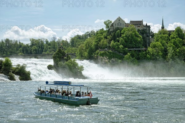 Rhine Falls near Schaffhausen