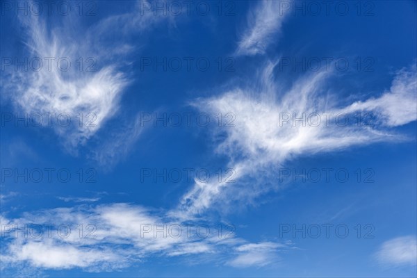 Feather clouds