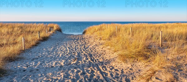 Beach access at the Baltic Sea in the evening light