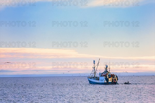 Shrimp trawler on the Arctic Ocean with seagulls and Nordic light